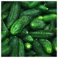 thumbnail image 3 of Everwilde Farms - 50 Organic Spacemaster Cucumber Seeds - Gold Vault Jumbo Bulk Seed Packet, 3 of 5