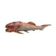 thumbnail image 4 of Figura de Dunkleosteus, criaturas marinas, juguete, detallado, divertido, realista, colección, animal 1779, 4 of 9