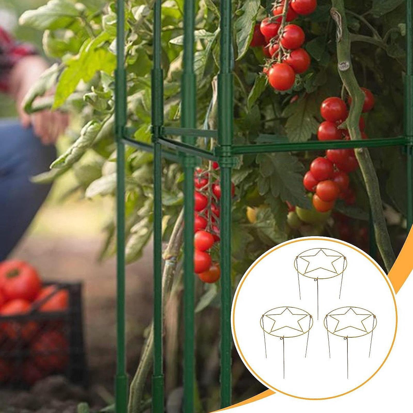 koolsoo 3 Pieces Plant Support Brace Metal Indoor Decorative Potted Flower Garden Ivy Roses Pothos Houseplants Climbing Holder Golden