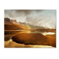 thumbnail image 2 of Trademark Fine Art 'Shades of Gold' 22" x 32" Canvas Art, 2 of 4