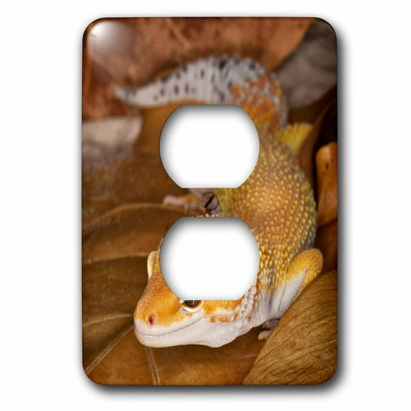 3dRose, Leopard Gecko morph, Lizard, Pakistan-AS28 AJE0000 - Adam Jones, 2 plug outlet cover