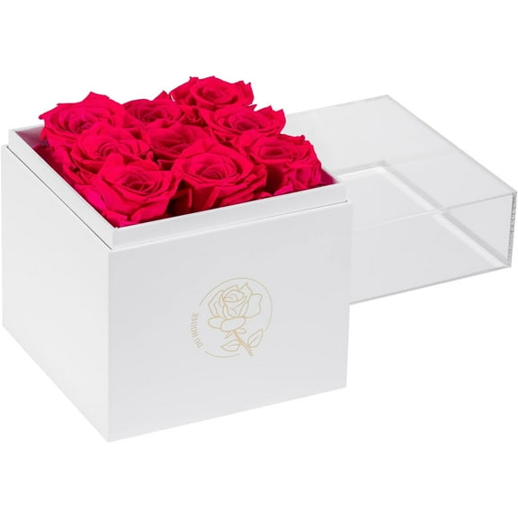 9pcs Preservd Rose in Acrylic Box Eternal Flower That Lasts 4 Years Gifts for Girlfriend Wife Mom Women Valentines Day Anniversary Birthday Mothers Day(Sky Blue)