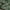 Black-2, variant on Paco Home In- & Outdoor Rug with with Jungle Design in Green - 2'8" x 4'11" (3'x5')