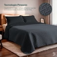 thumbnail image 2 of Colcha Ligera Pinsonic Doble Vista Dreamlab con 2 Fundas de Almohada, Edrecolcha Capitonada Reversible Ultrasuave, Edredón de verano, Individual Tape, Negro y Grafito, 2 of 9
