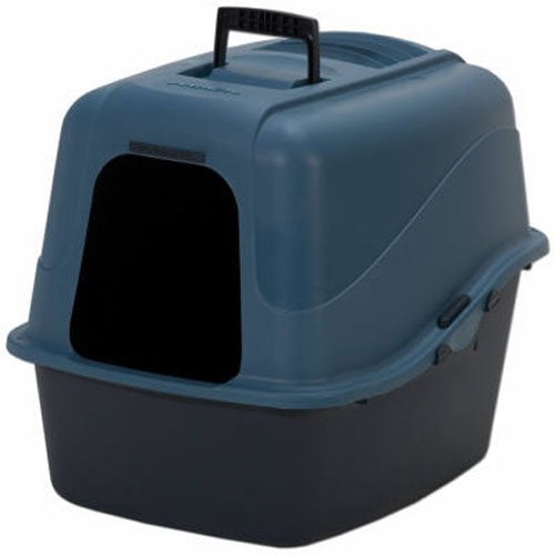 silicone dog name tags