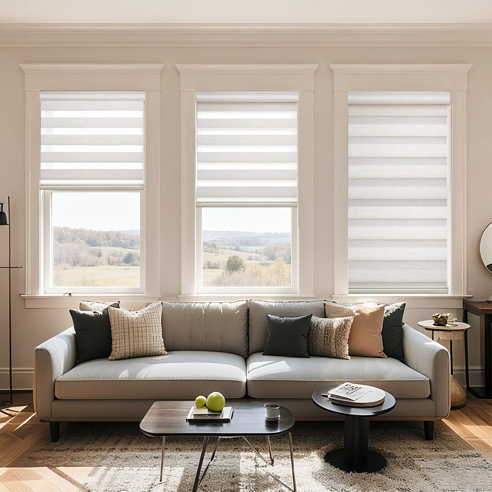 MYshade Cordless Zebra Blinds Beige-29"W*72"H Pull Down Roller Window Shades Double Layer Light Control Free Stop Window Shades Day and Night Blinds Easy Installation for Home