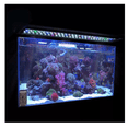 thumbnail image 4 of Luz Led Para Acuario Belug 6 W 5 Colores Para Tanque plantado, 4 of 5