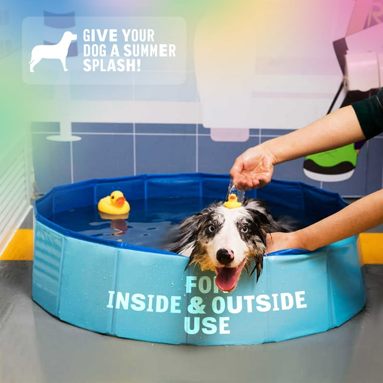 Can Dogs Pass Hard Plastic