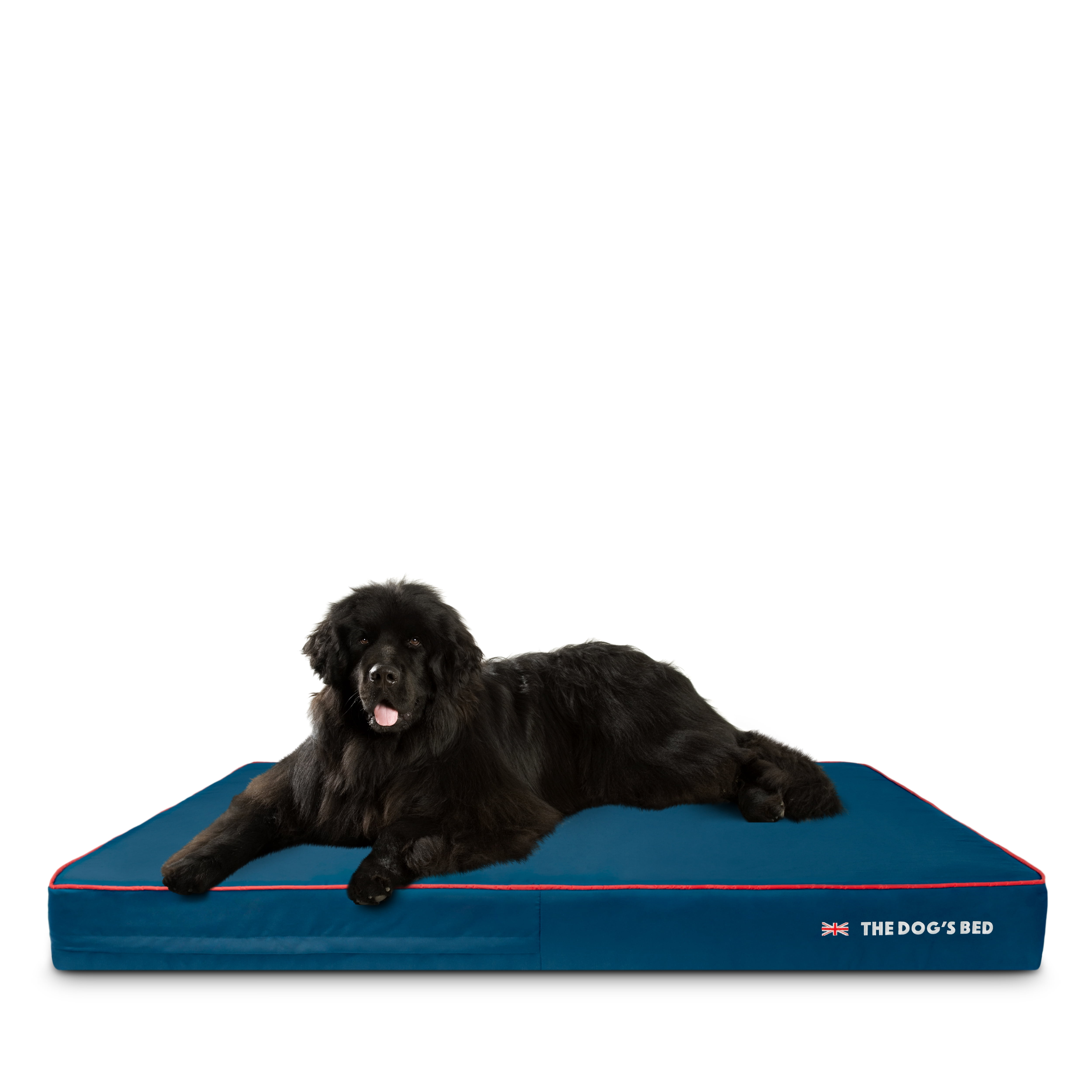 The Dog’s Bed Orthopedic Memory Foam Dog Bed, XXXL Blue with Red Trim 64x44, UK Flag, Pain Relief for Arthritis, Hip & Elbow Dysplasia Waterproof Washable Cover