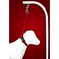 thumbnail image 2 of Country Brook Petz­ - Nylon Grooming Loop with Quick Release Buckle with 9 Vibrant Colors (5/8 Inch), 2 of 3