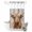 Chestnut Brown, Caramel, Driftwood, Cream, variant on No Hook Shower Curtain, Farmhouse Yaks Shower Curtains for Bathroom with See Through Top Window, Country Vintage Wooden Grain Brown Waterproof & Washable Bath Curtain Stand Up Stall 36"x72"