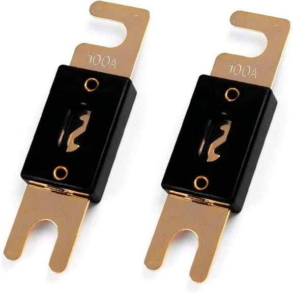 100 Amp ANL Fuses Gold Plated Fuse 2 Pack (100Amp)