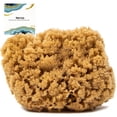 thumbnail image 1 of Esponja de ducha Naroa Massage Natural Large, sin blanquear, 1 of 7