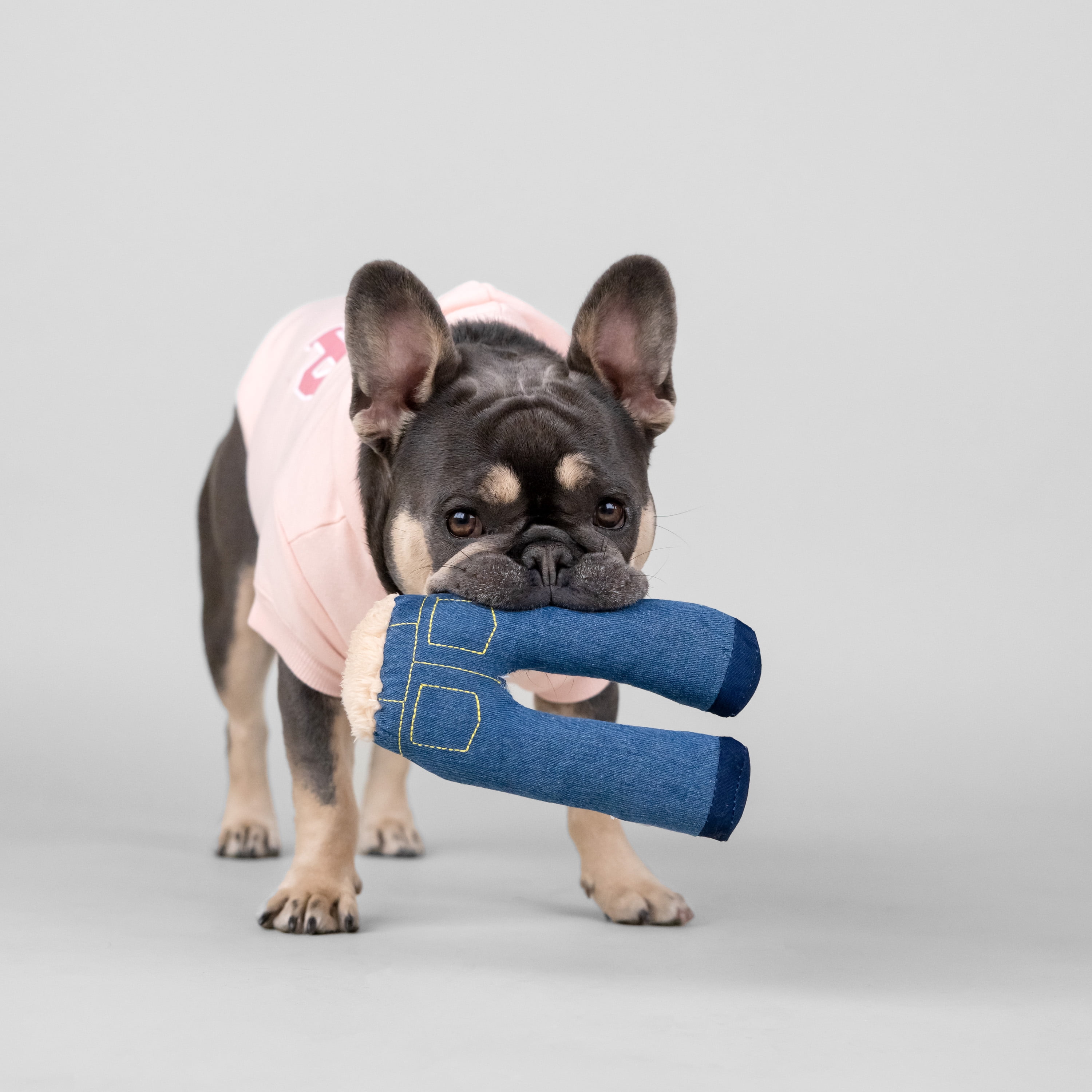 Gap Pet Dog and Cat Clothes, Classic Gap Logo Pet Hoodie, Pink