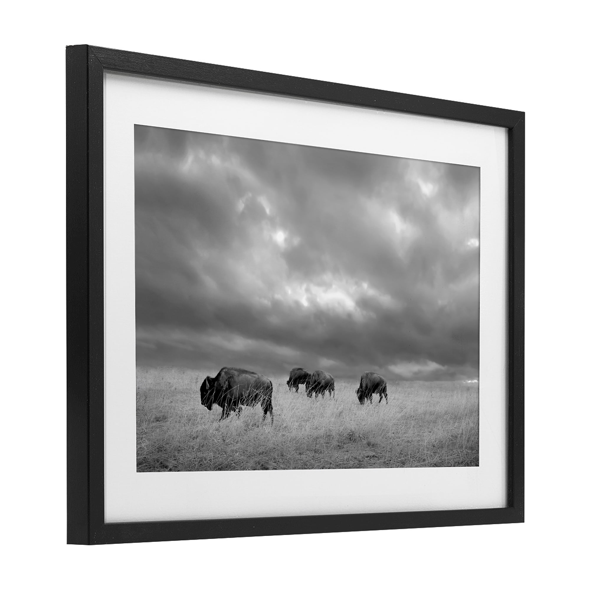 Stupell Industries Bisons Under an Autumn Sky Black Framed Print Under Glass, design by Steve Toole