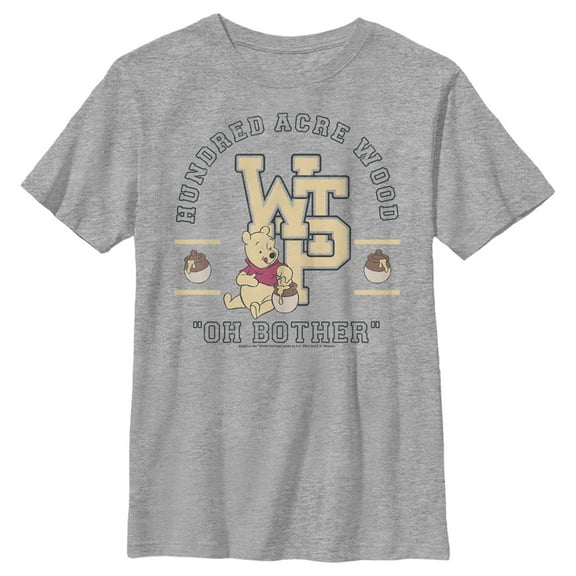 Boy's Winnie the Pooh Bear Collegiate Graphic Tee Athletic Heather Small