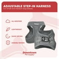 thumbnail image 4 of Downtown Pet Supply Step In Dog Harness For Small Dogs No Pull, Medium, Light Gray, 4 of 8