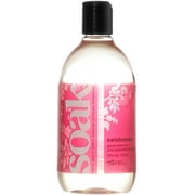Soak S07-6G Soak Wash Rinse, 12-Ounce, Celebration