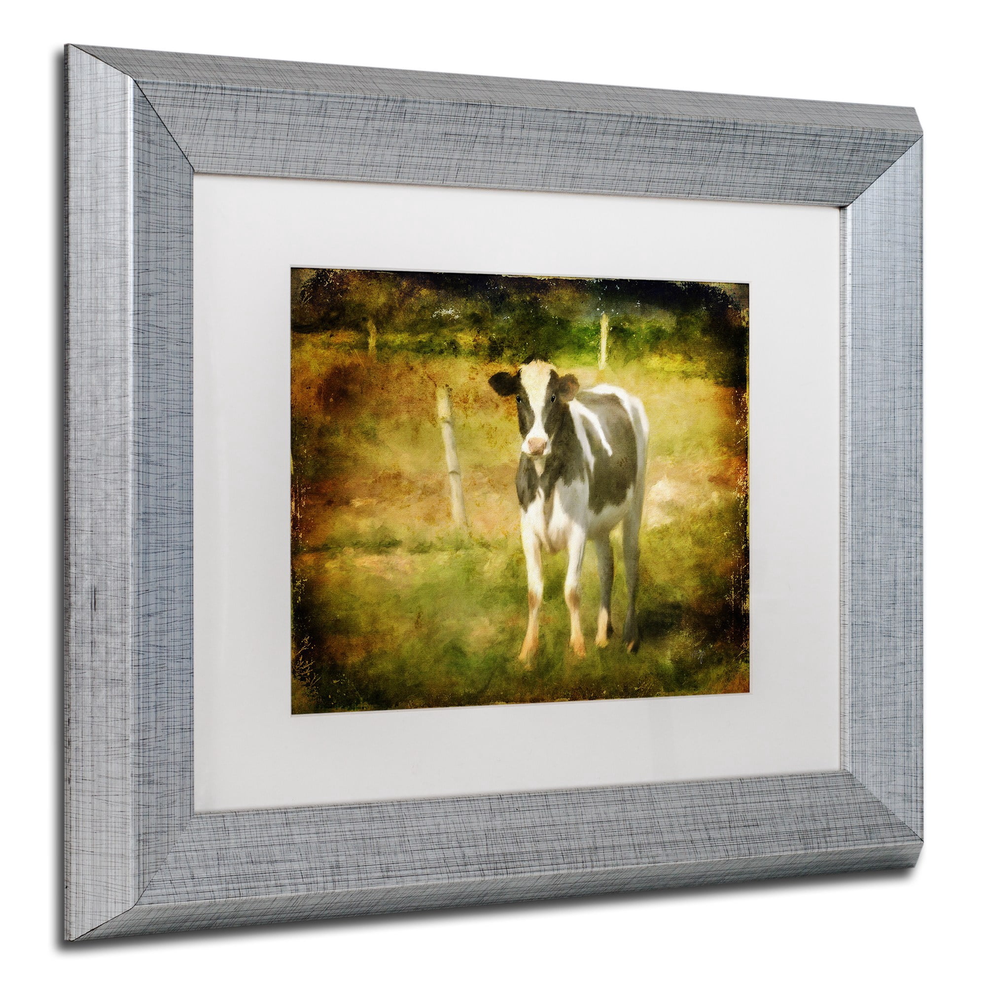 Trademark Fine Art "Handsome Holstein" Canvas Art by Lois Bryan White Matte, Silver Frame