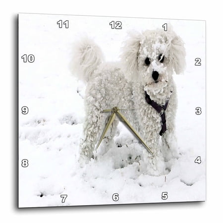 3drose Print of White Poodle Painting 10x10 Wall Clock