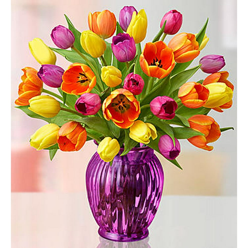 1-800-Flowers: Fresh Flowers - Assorted Tulips 30 Stems with Purple ...