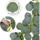 thumbnail image 2 of Paquete de 5 guirnaldas de eucalipto artificial Greenery Eucalyptus Vines Faux Silver Dollar Eucalyptus Strands para la decoración del jardín del banquete de boda MFZFUKR HMHZ673, 2 of 6