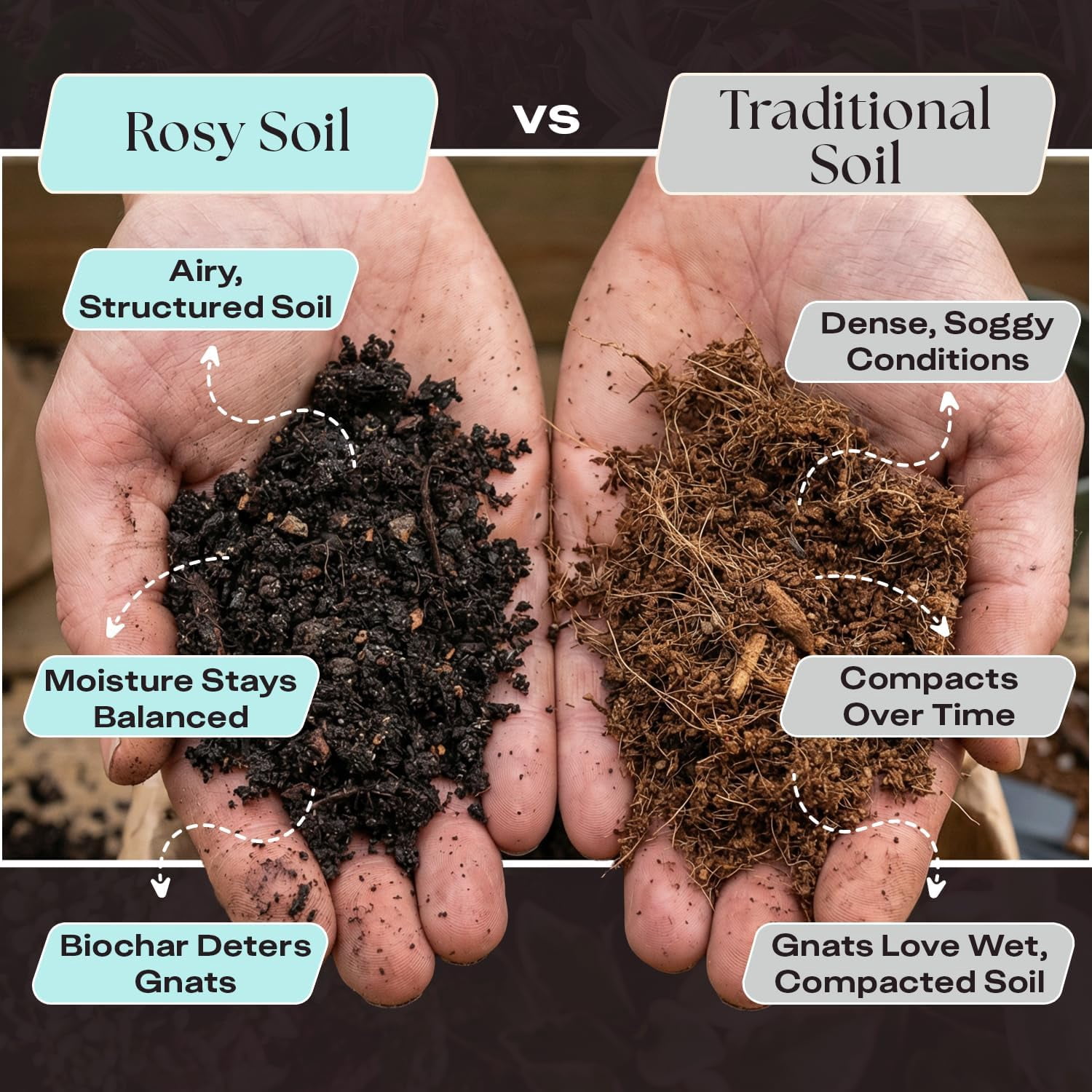 Rosy Soil Herb Potting Soil Mix for Indoor Herb Garden, Organic Peat Free Soil with Biochar for Strong Growth & Flavor, Well Draining Potting Mix, 4 qt
