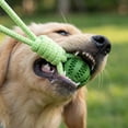 thumbnail image 4 of Durable Dog Knot Rope Toy featuring Rubber Ball Core for Exercise and Play Resilient Interactive Training Tool for Energetic Pets, Green 14 Inch, 4 of 6