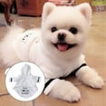 thumbnail image 4 of EeaseMX Albornoz de secado rápido para mascotas, pijama de noche súper absorbente y de secado rápido para perro y gato con capucha, talla S (blanco), 4 of 7