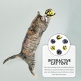 thumbnail image 6 of 6 Pcs Interactive Cat Toys Yarn Ball Soft Cat Ball 6pcs Plush Cat Toys Cat Scratching Board, 6 of 6
