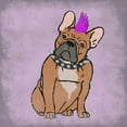 thumbnail image 2 of Prime, Marcus 20x20 White Modern Wood Framed Museum Art Print Titled - Rockin Frenchie, 2 of 4