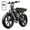 R9-Black-15AH, variant on TST Electric Bike for Adults, Dual 48V/15AH Battery, 750W Peak 1500W Motor, Max 28MPH, 20"x4" Fat Tire, E Mountain Bike, UL2849
