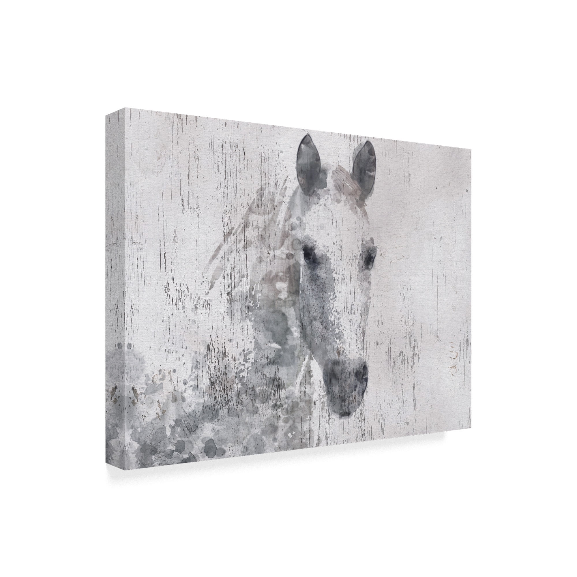 Trademark Fine Art 'Dapple Horse I' Canvas Art by Irena Orlov
