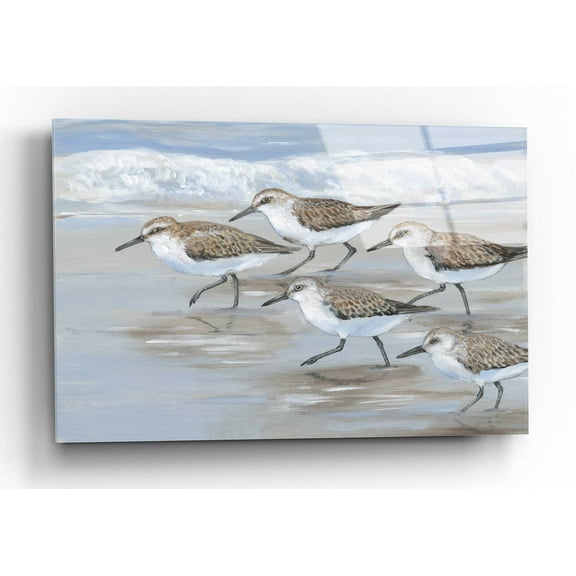 Epic Art 'Sandpipers I' by Tim O'Toole, Acrylic Glass Wall Art, 24"x16"