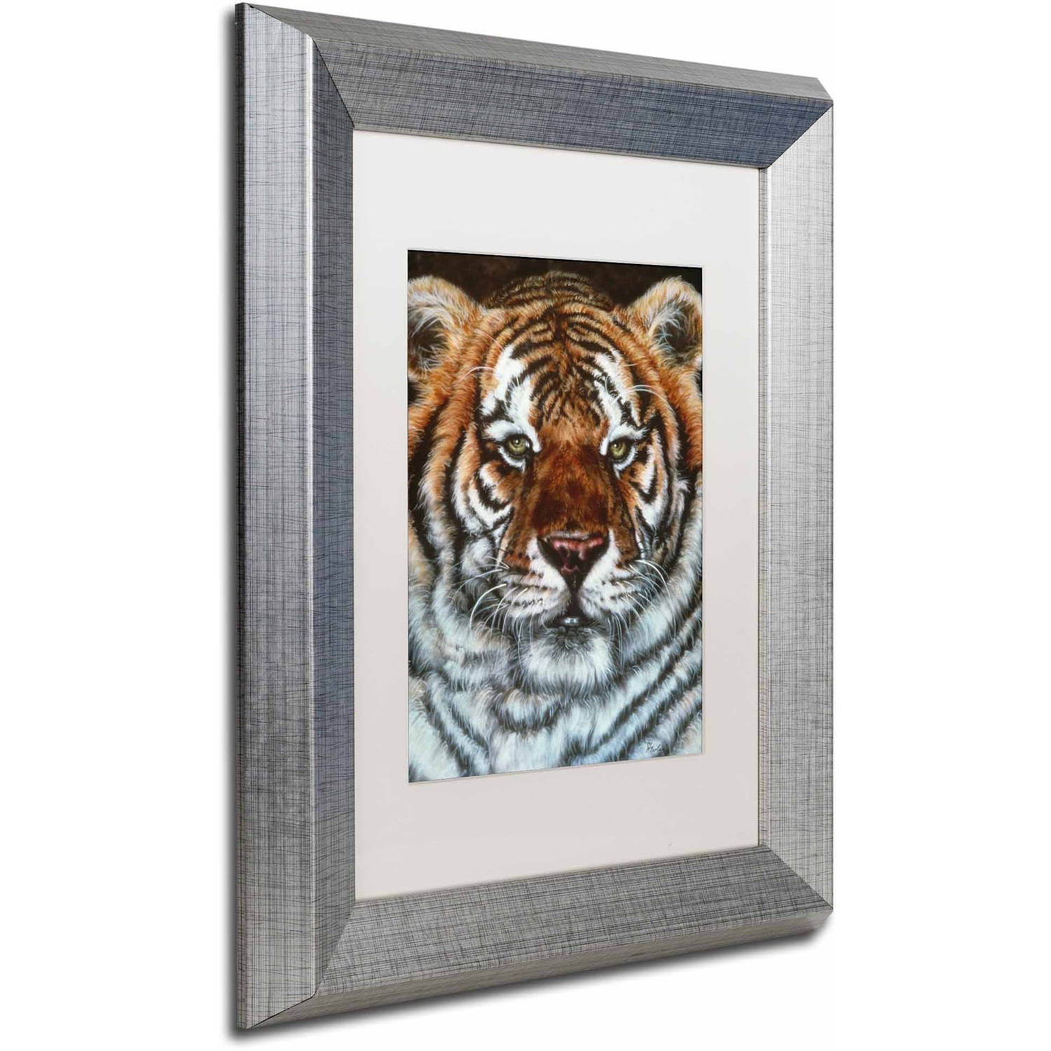 Trademark Fine Art 'Awesome Beauty' Canvas Art by Jenny Newland, White Matte, Silver Frame