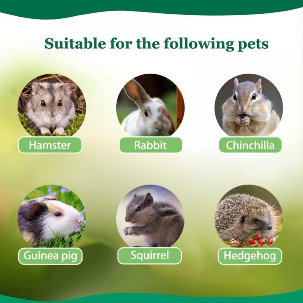 Hamsters and Other Small Animals Treats MOYASIBB Natural Timothy Hay Sticks 20Pcs Chinchillas Guinea Pigs Timothy Grass Molar Stick Chew Toys for Rabbits 