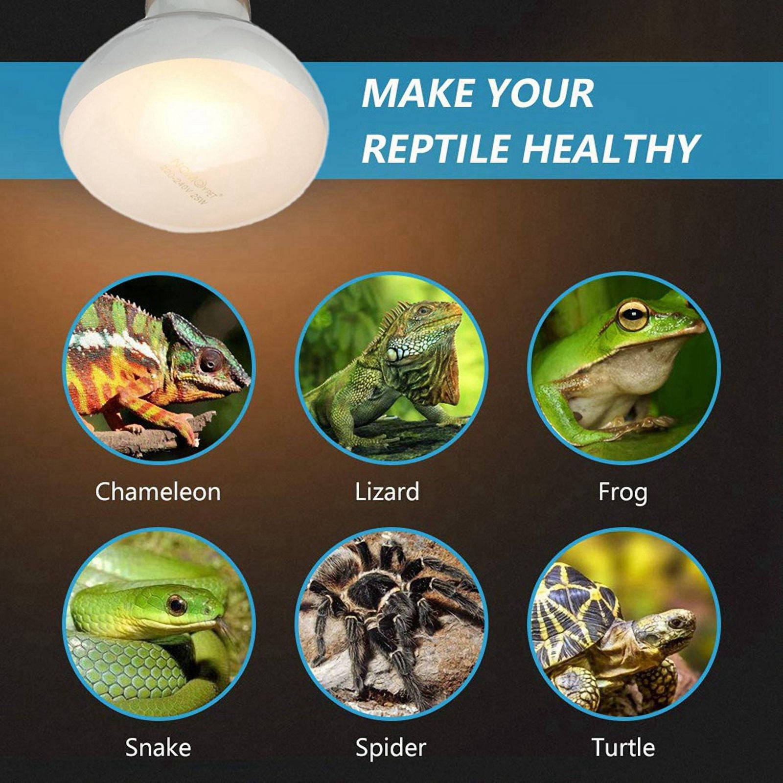 10 Pack Reptile Uvb Uva Heat Lamp Bulb for Reptiles Truly Sun-Like Bright Heat for Reptiles, Amphibian (100 W)