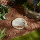 thumbnail image 3 of Memorial Stepping Stone Accent y es difícil perder a alguien, 3 of 5