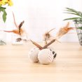 thumbnail image 3 of Feather Cat Wand Toy Silvervine Teeth Cleaning Cat Teaser Wand Cat Chew Ball, 3 of 10