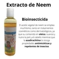 thumbnail image 3 of Shampoo Para Piojos Y Liendres En Niños Anti Piojos 120Ml Be Wetlove Shampoo Para Piojos, 3 of 3