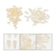 thumbnail image 5 of 200 piezas de dentaduras postizas moldeables, duraderas y prácticas, accesorio dental (beige), 5 of 7
