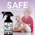thumbnail image 2 of The Stink Solution Unscented Odor Eliminator Spray, 16 oz, 2 Count, 2 of 6