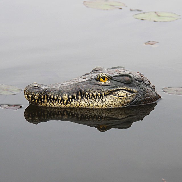 Tête Flottante pour Étang, Tête de Flotteur pour Piscines Extérieures, Tête de Gator pour Décorations, Piscine, Piscines, Tête d'Alligator*1 Liquidation