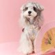 thumbnail image 3 of Ropa Para Perro Mascota Otoño, 3 of 8