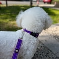 thumbnail image 6 of BRIOPAWS Reflective Dog Collar and Leash Set,Soft Neoprene Pet Collar with Quick Release Buckle,Adjustable Nylon Dog Collars for Small Dogs(S+5FT Leash,Purple), 6 of 6
