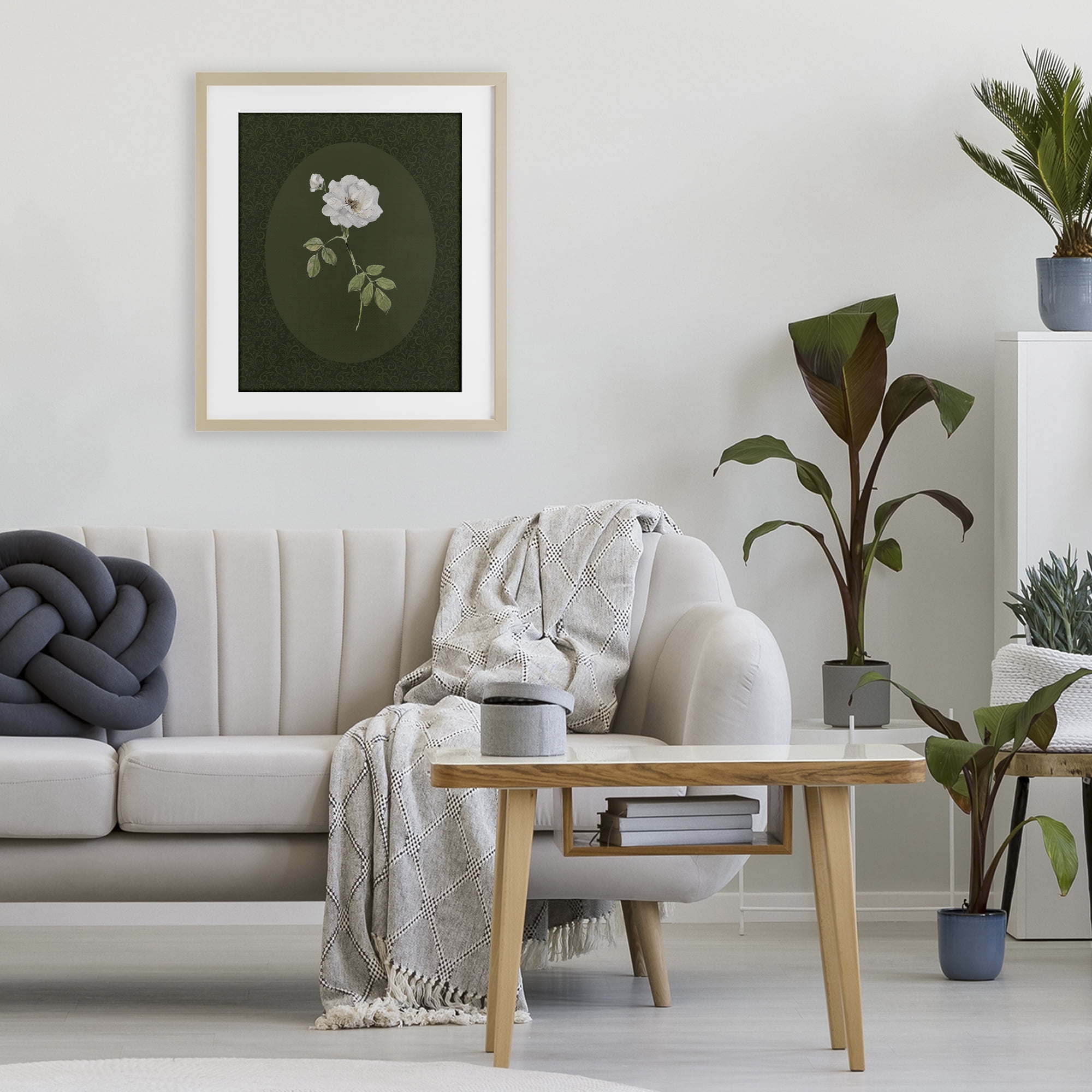Stupell Industries White Rose on Emerald Birch Framed Print Under Glass, design by Sally Swatland