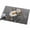 Gray, variant on Entryway Rug 2'x3', Daisy Butterfly Kitchen Runner Rugs Non-Slip Carpet Mats, Spring Floral Butterflies Grey Modern Art Bedside Rugs Runners Washable Floor Carpet for Bathroom Laundry Room