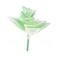 thumbnail image 2 of untoiry Succulent Plant DIY Simulation Mini Plastic Artificial Plant Flower for Garden Home Decor Random Color Style, 16Pcs, 2 of 8