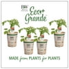 4-Pack, 4.25 in. Eco+Grande, First Lady II (Tomato) Live Vegetable Plant
