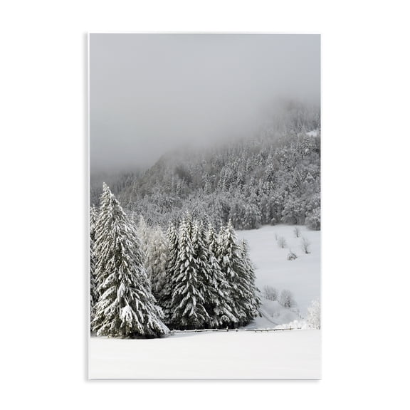 Stupell Industries Rustic Lodge Winter Snowscape Woodland Trees Wall Plaque Art, 10 x 15, by Lil' Rue